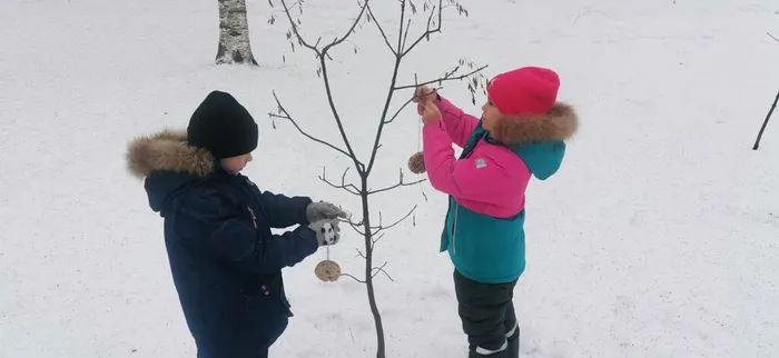 7P-3e8ziO1COhTLyGrWCu5_8RFXq4KaOjSjPTokLEPVKNV3CvMjlPgcdfZx61Sr623-_A96lv3yjh6F15FSi13Gi